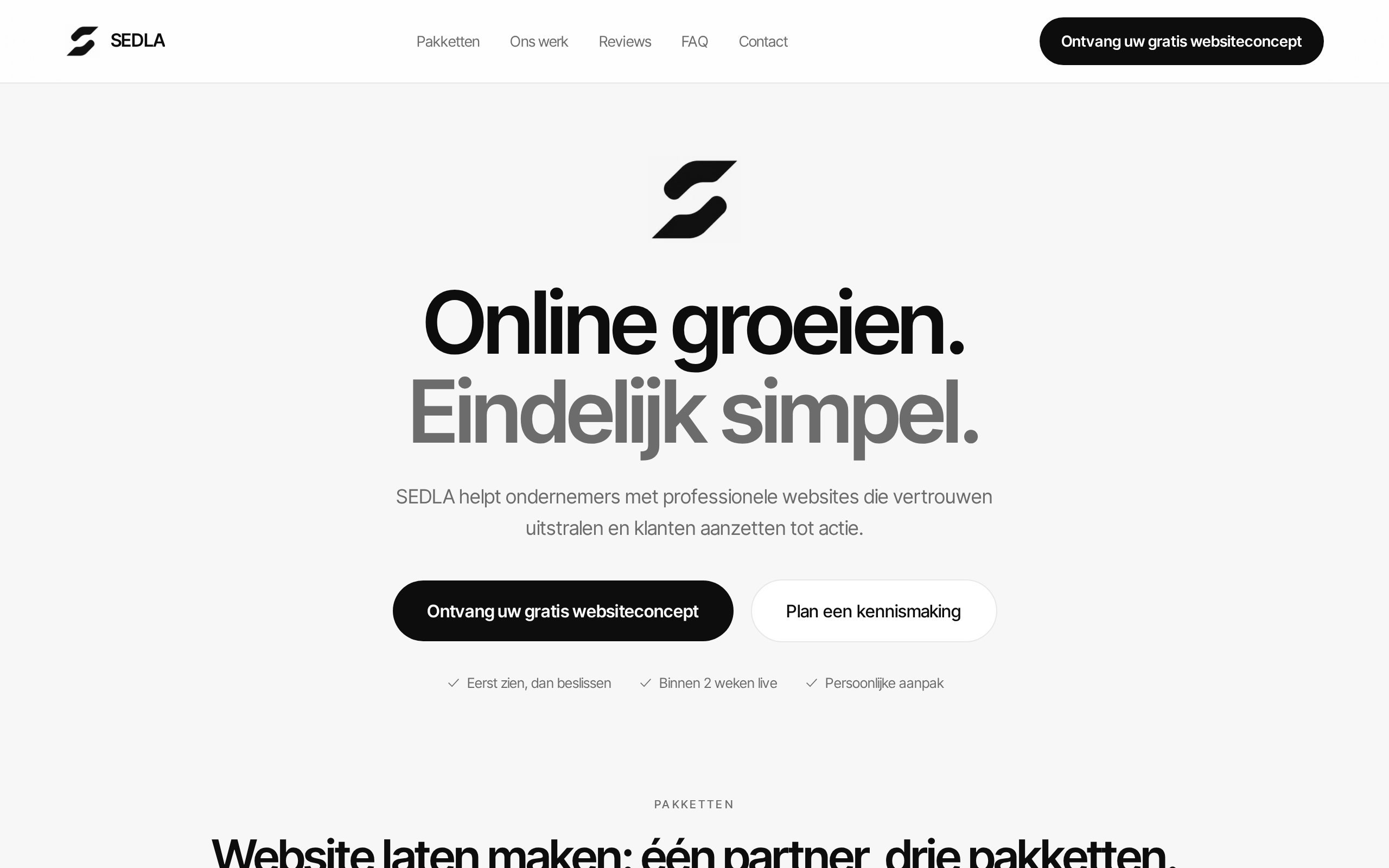 Desktopversie van de SEDLA-website — professionele website voor lokale ondernemers